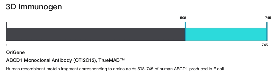 ABCD1 Monoclonal Antibody (OTI2C12), TrueMAB&trade;