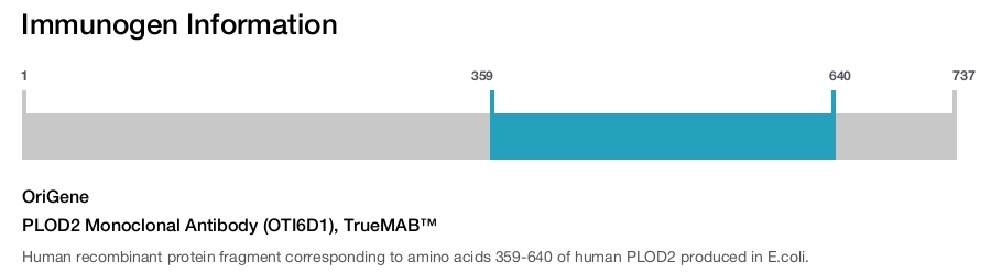 PLOD2 Monoclonal Antibody (OTI6D1), TrueMAB™