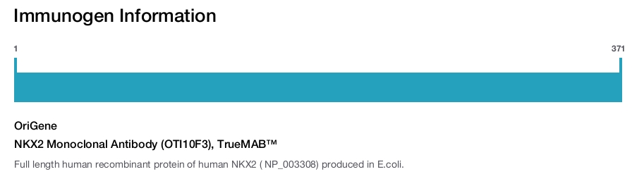 NKX2 Monoclonal Antibody (OTI10F3), TrueMAB™