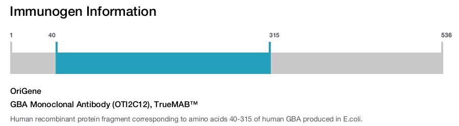 GBA Monoclonal Antibody (OTI2C12), TrueMAB&trade;