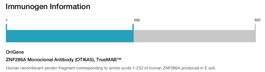ZNF286A Monoclonal Antibody (OTI6A5), TrueMAB™