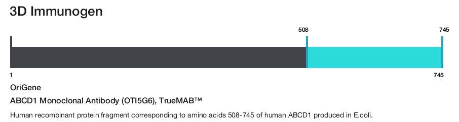 ABCD1 Monoclonal Antibody (OTI5G6), TrueMAB&trade;
