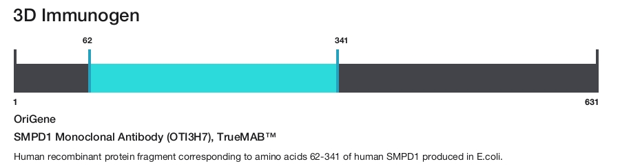 SMPD1 Monoclonal Antibody (OTI3H7), TrueMAB&trade;