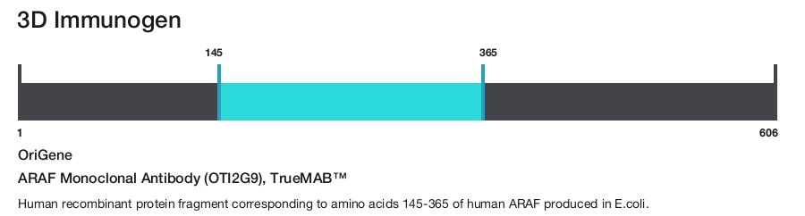 ARAF Monoclonal Antibody (OTI2G9), TrueMAB&trade;