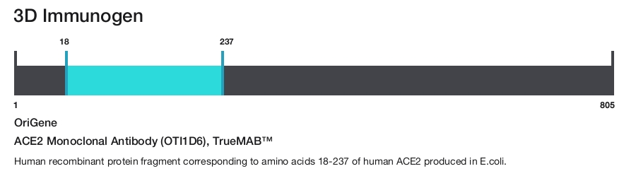 ACE2 Monoclonal Antibody (OTI1D6), TrueMAB&trade;