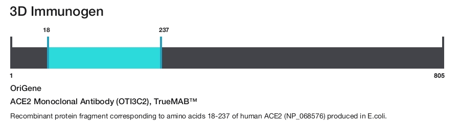 ACE2 Monoclonal Antibody (OTI3C2), TrueMAB&trade;