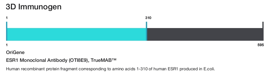 ESR1 Monoclonal Antibody (OTI8E9), TrueMAB&trade;