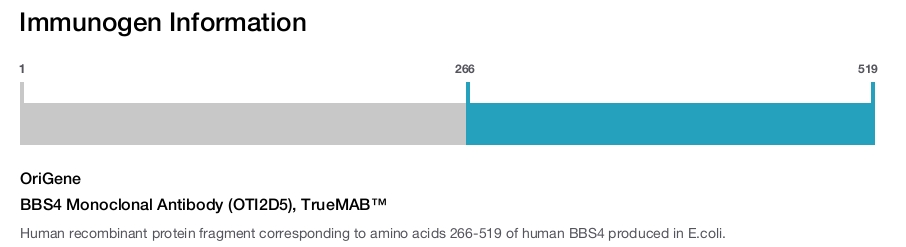BBS4 Monoclonal Antibody (OTI2D5), TrueMAB™