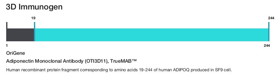 Adiponectin Monoclonal Antibody (OTI3D11), TrueMAB&trade;
