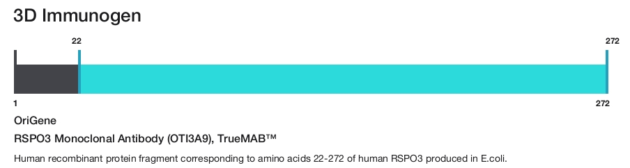 RSPO3 Monoclonal Antibody (OTI3A9), TrueMAB&trade;