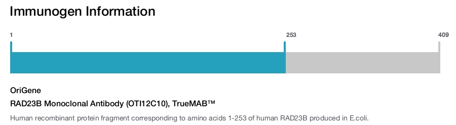 RAD23B Monoclonal Antibody (OTI12C10), TrueMAB™