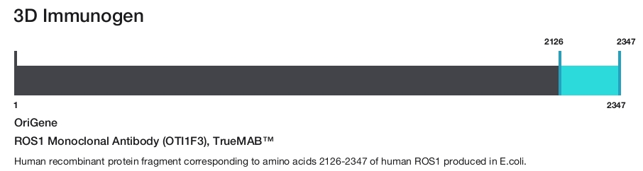 ROS1 Monoclonal Antibody (OTI1F3), TrueMAB&trade;