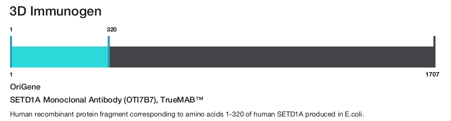 SETD1A Monoclonal Antibody (OTI7B7), TrueMAB&trade;