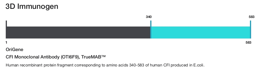 CFI Monoclonal Antibody (OTI6F9), TrueMAB&trade;