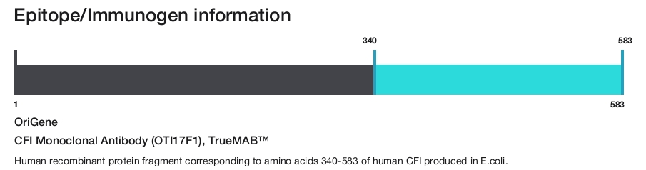 CFI Monoclonal Antibody (OTI17F1), TrueMAB&trade;