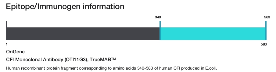 CFI Monoclonal Antibody (OTI11G3), TrueMAB&trade;
