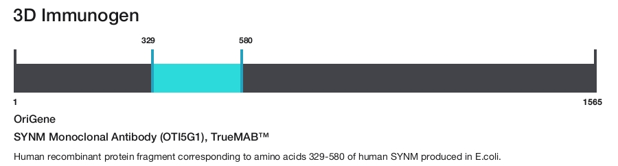 SYNM Monoclonal Antibody (OTI5G1), TrueMAB&trade;