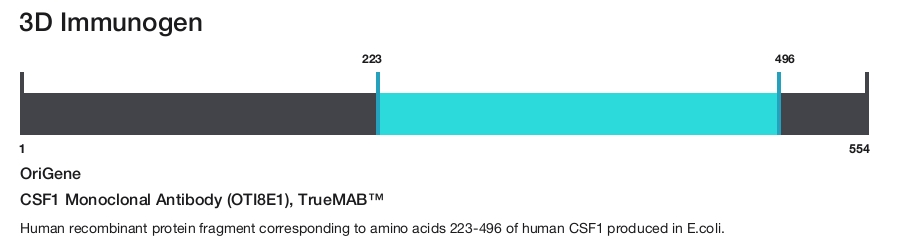 CSF1 Monoclonal Antibody (OTI8E1), TrueMAB&trade;