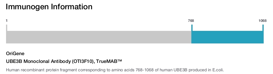 UBE3B Monoclonal Antibody (OTI3F10), TrueMAB™