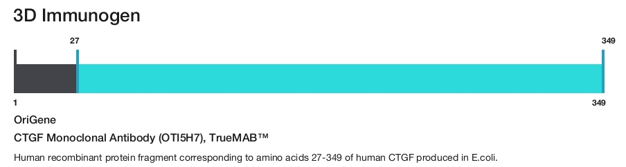 CTGF Monoclonal Antibody (OTI5H7), TrueMAB&trade;
