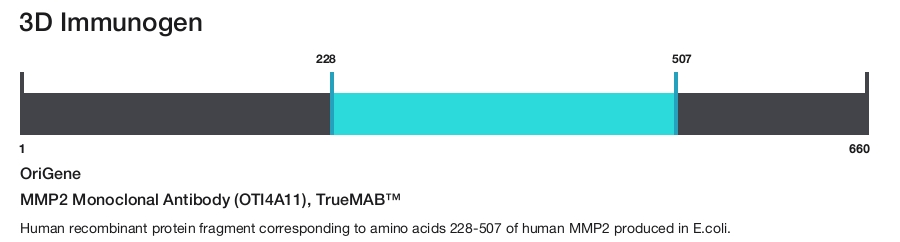MMP2 Monoclonal Antibody (OTI4A11), TrueMAB&trade;