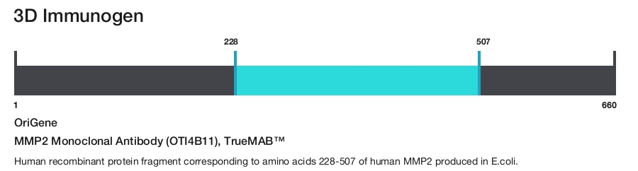 MMP2 Monoclonal Antibody (OTI4B11), TrueMAB&trade;
