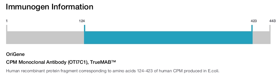 CPM Monoclonal Antibody (OTI7C1), TrueMAB™