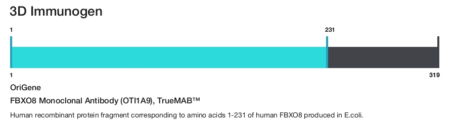 FBXO8 Monoclonal Antibody (OTI1A9), TrueMAB&trade;