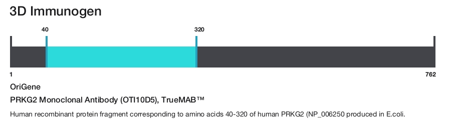 PRKG2 Monoclonal Antibody (OTI10D5), TrueMAB&trade;