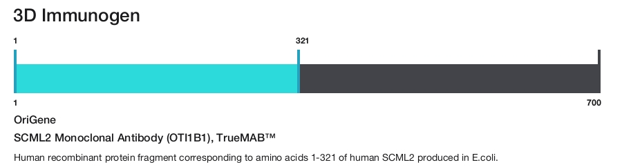 SCML2 Monoclonal Antibody (OTI1B1), TrueMAB&trade;