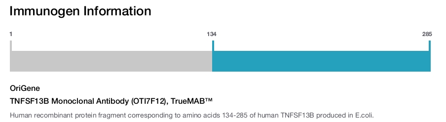 TNFSF13B Monoclonal Antibody (OTI7F12), TrueMAB™
