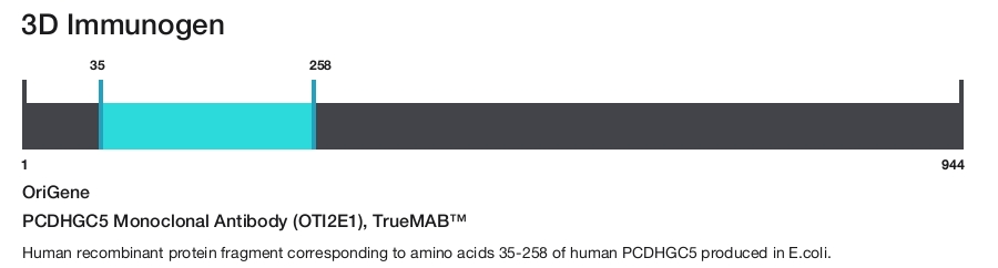 PCDHGC5 Monoclonal Antibody (OTI2E1), TrueMAB&trade;