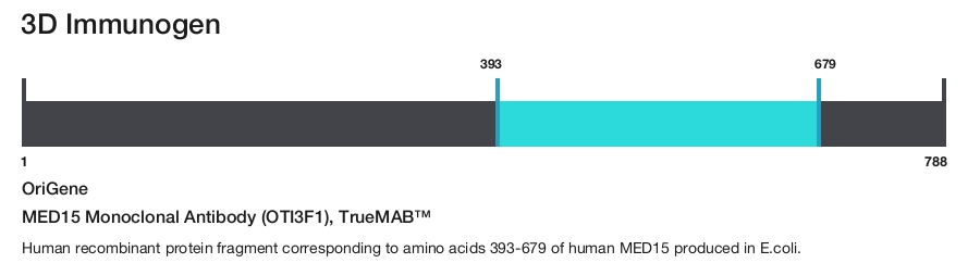 MED15 Monoclonal Antibody (OTI3F1), TrueMAB&trade;