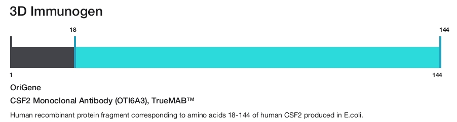 CSF2 Monoclonal Antibody (OTI6A3), TrueMAB&trade;