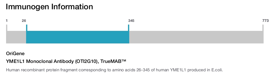 YME1L1 Monoclonal Antibody (OTI2G10), TrueMAB™
