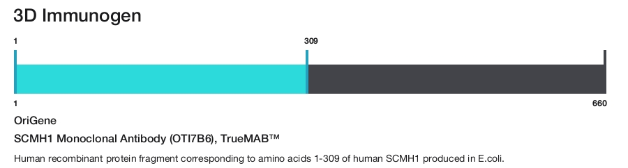SCMH1 Monoclonal Antibody (OTI7B6), TrueMAB&trade;