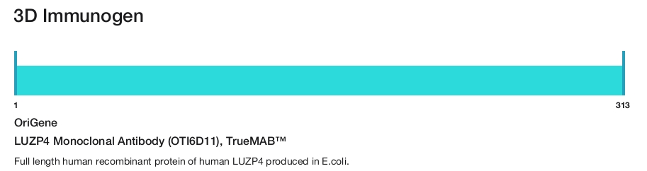 LUZP4 Monoclonal Antibody (OTI6D11), TrueMAB&trade;