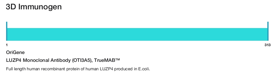 LUZP4 Monoclonal Antibody (OTI3A5), TrueMAB&trade;