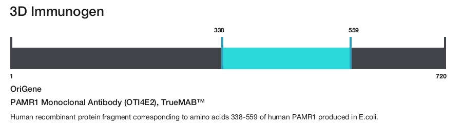 PAMR1 Monoclonal Antibody (OTI4E2), TrueMAB&trade;