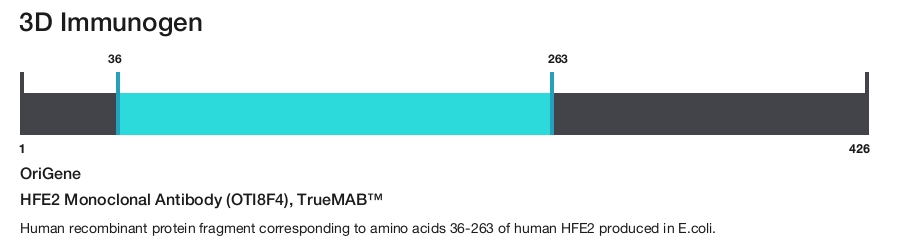 HFE2 Monoclonal Antibody (OTI8F4), TrueMAB&trade;