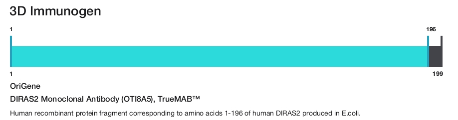 DIRAS2 Monoclonal Antibody (OTI8A5), TrueMAB&trade;