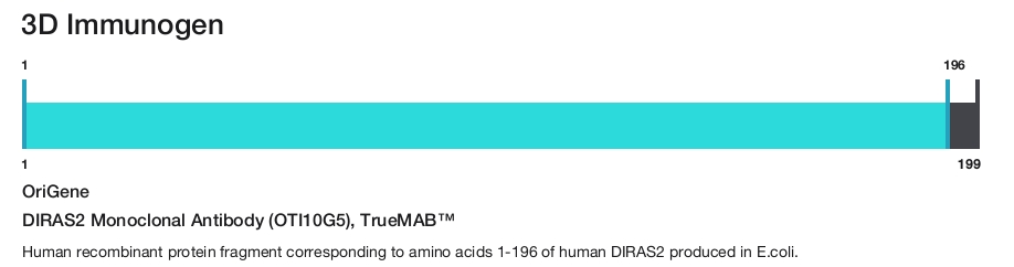 DIRAS2 Monoclonal Antibody (OTI10G5), TrueMAB&trade;