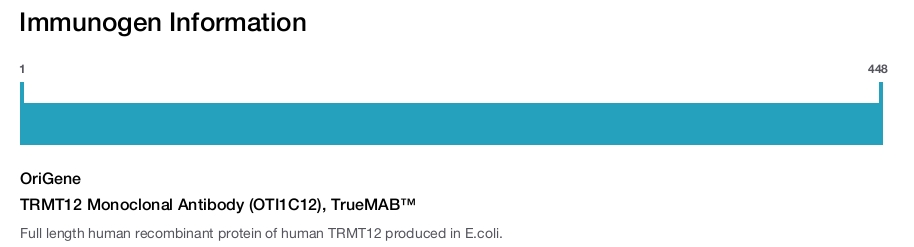 TRMT12 Monoclonal Antibody (OTI1C12), TrueMAB™