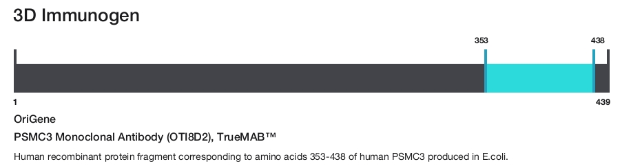 PSMC3 Monoclonal Antibody (OTI8D2), TrueMAB&trade;
