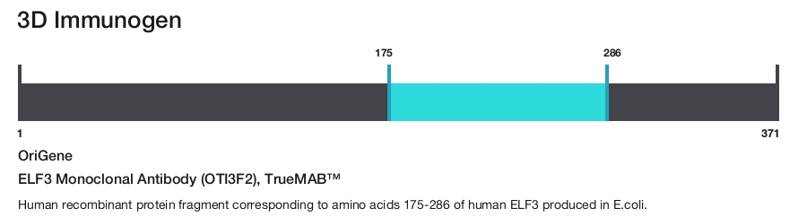 ELF3 Monoclonal Antibody (OTI3F2), TrueMAB&trade;
