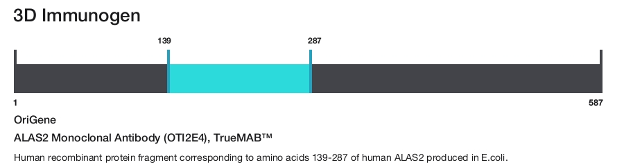 ALAS2 Monoclonal Antibody (OTI2E4), TrueMAB&trade;