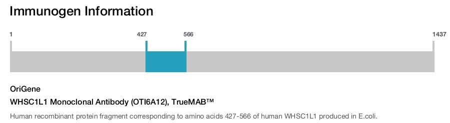 WHSC1L1 Monoclonal Antibody (OTI6A12), TrueMAB™