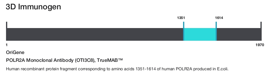 POLR2A Monoclonal Antibody (OTI3C8), TrueMAB&trade;