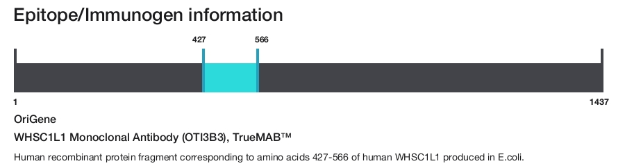 WHSC1L1 Monoclonal Antibody (OTI3B3), TrueMAB&trade;