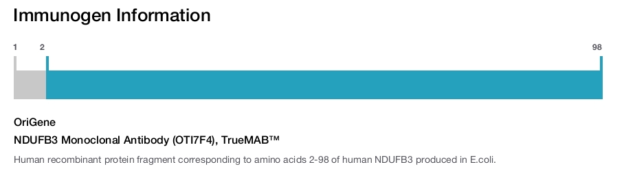 NDUFB3 Monoclonal Antibody (OTI7F4), TrueMAB™